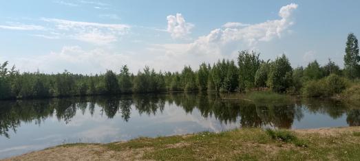 Купля, продажа земельных участков в Твери 2021 — земельный участок Тверская обл. с\т Огонек в районе д.Сокол — фото