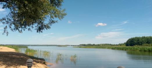 Купля, продажа земельных участков в Твери 2021 — Тверская область Конаковский муниципальный район ПТГ Новозавидовский мкр. Северный з/у 116 — фото