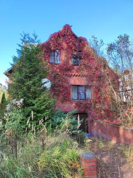 Загородная — Дом, деревня Алексино — фото